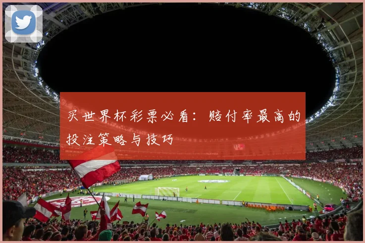 买世界杯彩票必看:赔付率最高的投注策略与技巧