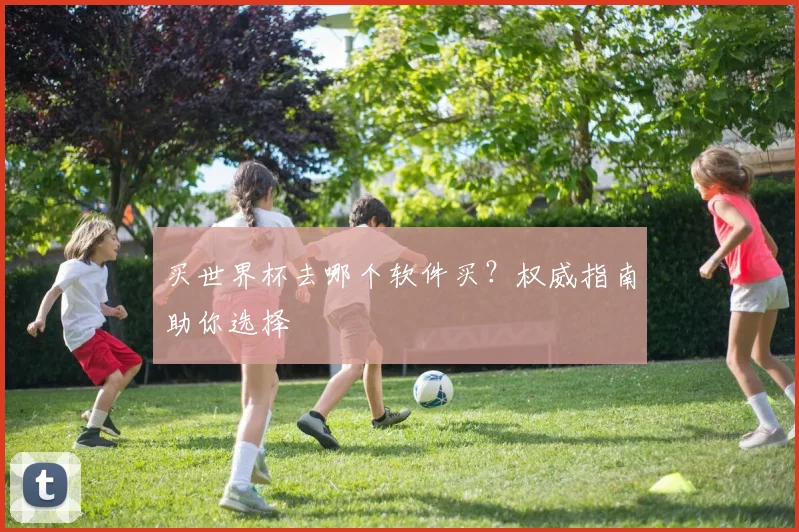 买世界杯去哪个软件买?权威指南助你选择