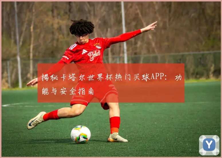 揭秘卡塔尔世界杯热门买球APP：功能与安全指南